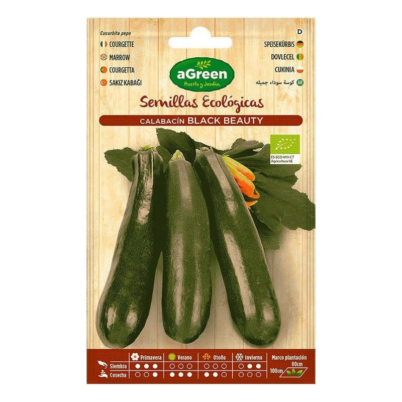 Graines aGreen Écologique Courgette - Acheter à 2,02 € seulement chez Collector's Boutique