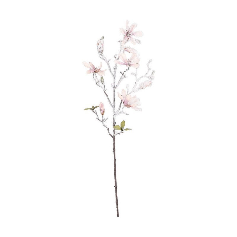 Plante décorative Beige (Ø 22 X 77 CM) - Acheter à 15,13 € seulement chez Collector's Boutique