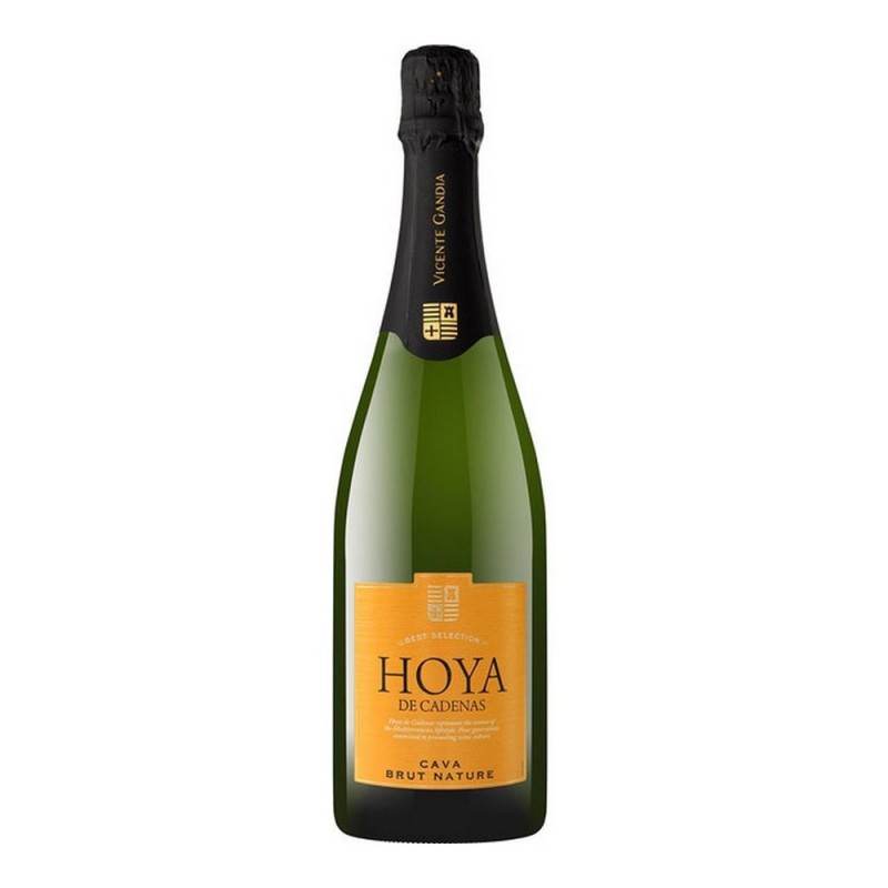 Vin mousseux Hoya de Cadenas Brut Nature (75 cl) - Acheter à 5,80 € seulement chez Collector's Boutique