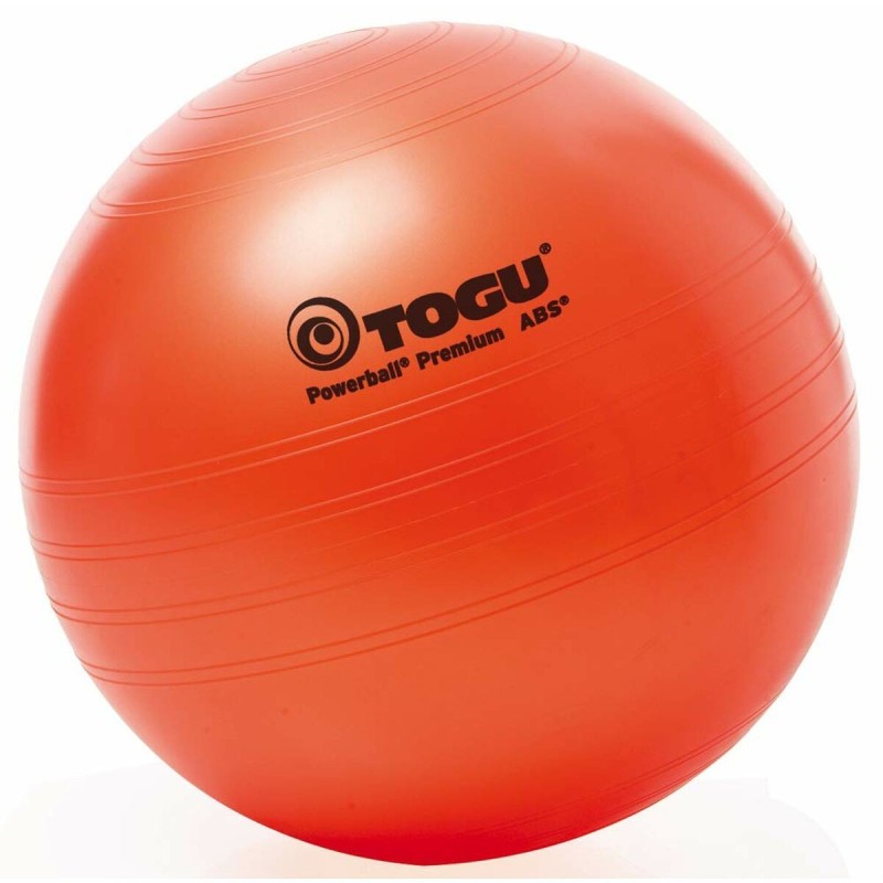 Ballon de yoga Bleu (Reconditionné B) - Acheter à 27,13 € seulement chez Collector's Boutique