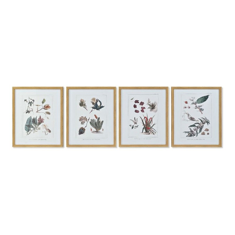 Cadre DKD Home Decor S3013715 Toile Fleurs (43 x 3 x 53 cm) (4 Unités) - Acheter à 244,02 € seulement chez Collector's Boutique