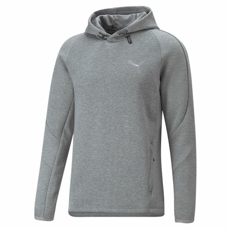 Sweat à capuche homme Puma Evostripe Gris - Acheter à 61,46 € seulement chez Collector's Boutique