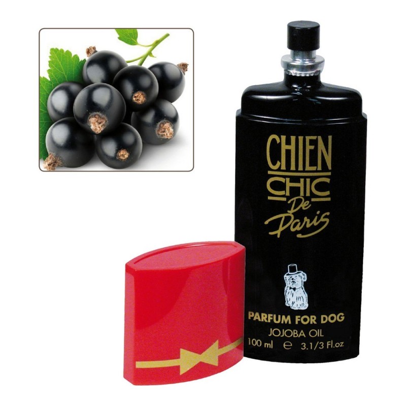 Parfum pour animaux domestiques Chien Chic Chien Cassis (100 ml) - Acheter à 14,28 € seulement chez Collector's Boutique