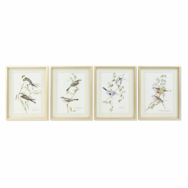 Cadre DKD Home Decor S3017833 Oiseaux (35 x 2,5 x 45 cm) (4 Unités) - Acheter à 110,99 € seulement chez Collector's Boutique