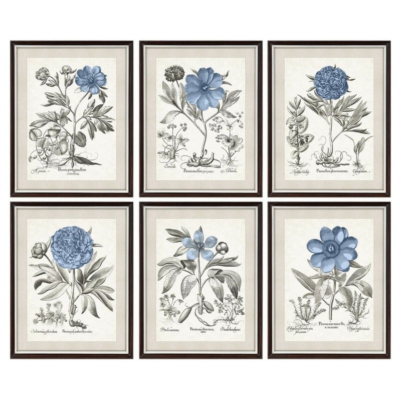 Cadre DKD Home Decor Fleurs Moderne (6 Unités) (50 x 2 x 65 cm) - Acheter à 207,49 € seulement chez Collector's Boutique