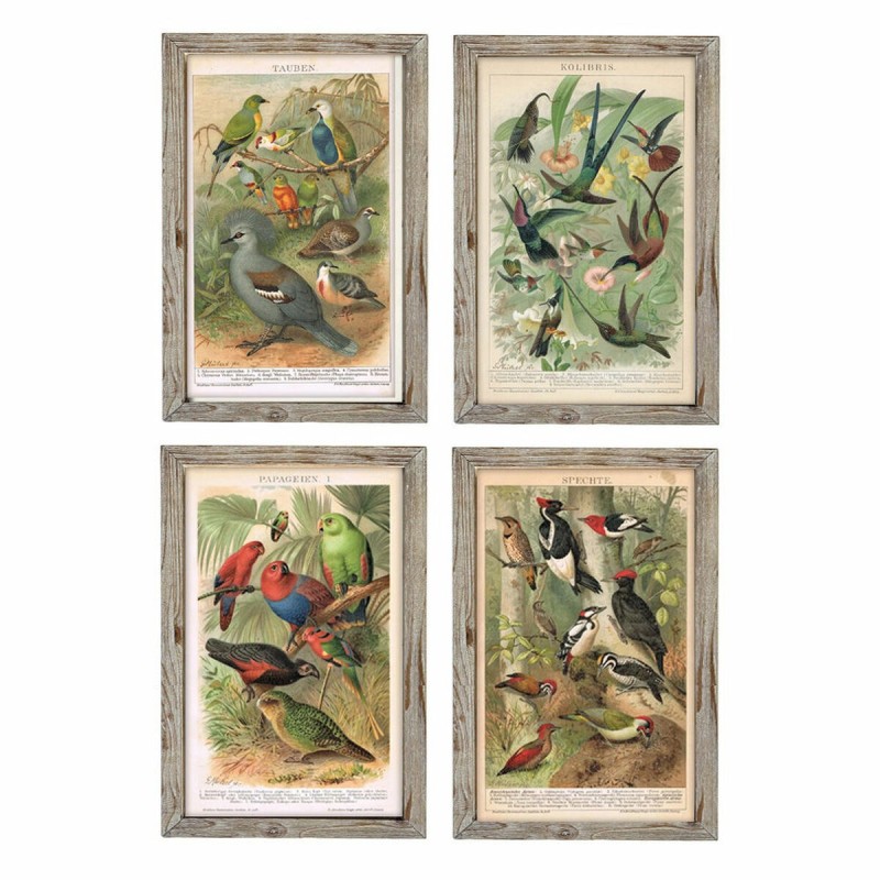 Cadre DKD Home Decor Oiseaux (45 x 2 x 65 cm) (4 Unités) - Acheter à 115,26 € seulement chez Collector's Boutique