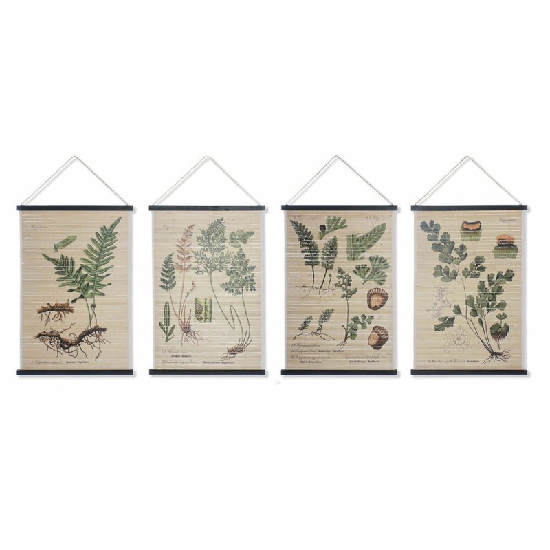 Toile DKD Home Decor Plantes botaniques (4 pcs) (60 x 2 x 90 cm) - Acheter à 81,77 € seulement chez Collector's Boutique