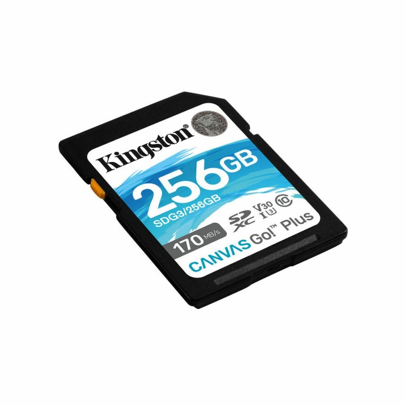 Carte Mémoire SD Kingston SDG3/256GB 256GB 256 GB - Acheter à 30,41 € seulement chez Collector's Boutique