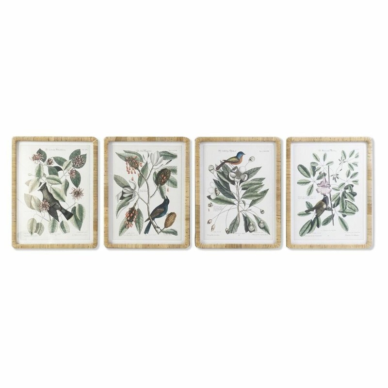 Cadre DKD Home Decor Plantes botaniques (50 x 2,5 x 65 cm) (4 Unités) - Acheter à 175,86 € seulement chez Collector's Boutique