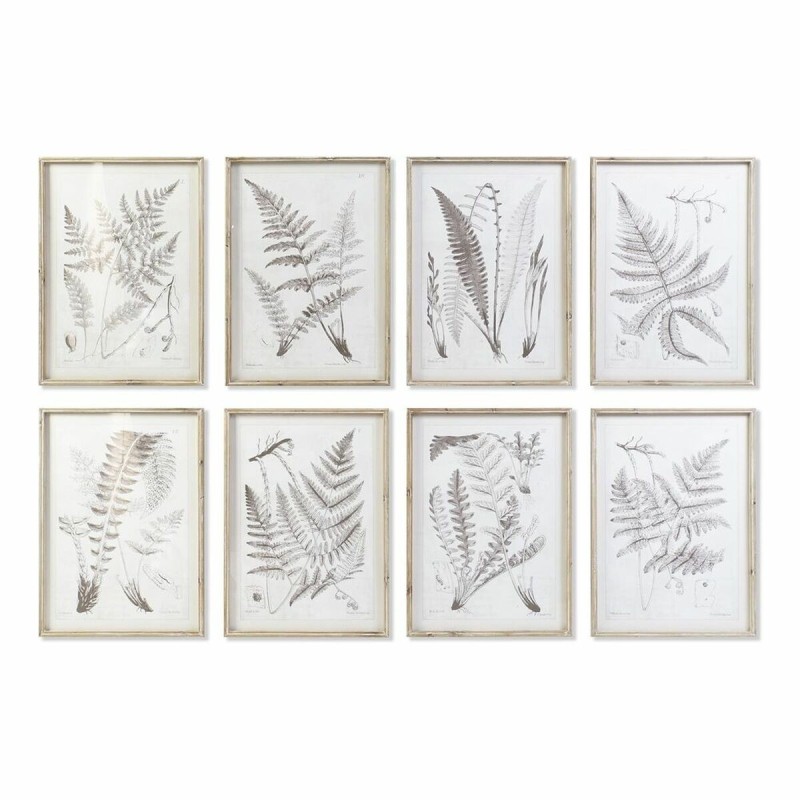 Cadre DKD Home Decor Moderne Plantes botaniques (50 x 2,5 x 70 cm) (8 Unités) - Acheter à 296,27 € seulement chez Collector's Bo