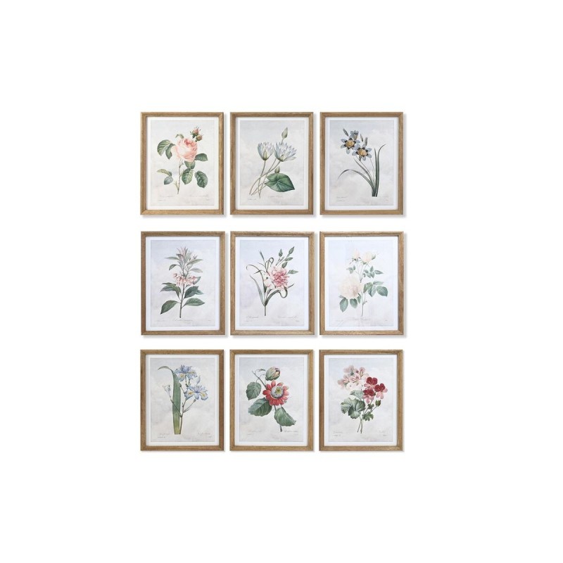 Cadre DKD Home Decor Fleurs, plantes et arbres Shabby Chic (40 x 2 x 50 cm) (9 Unités) - Acheter à 273,06 € seulement chez Colle