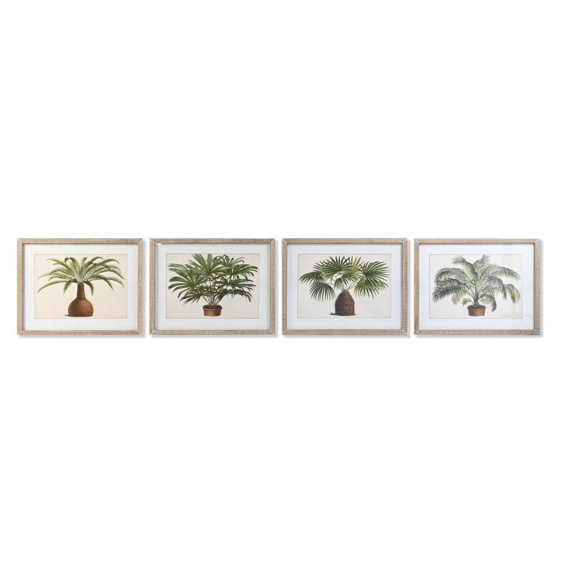 Cadre DKD Home Decor Palmiers Tropical (65 x 2 x 50 cm) (4 Unités) - Acheter à 161,09 € seulement chez Collector's Boutique