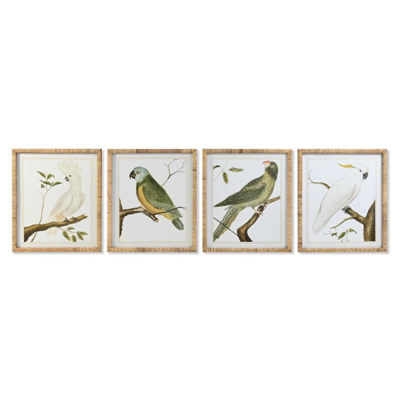 Cadre DKD Home Decor Tropical Oiseaux (50 x 2,5 x 60 cm) (4 Unités) - Acheter à 168,29 € seulement chez Collector's Boutique