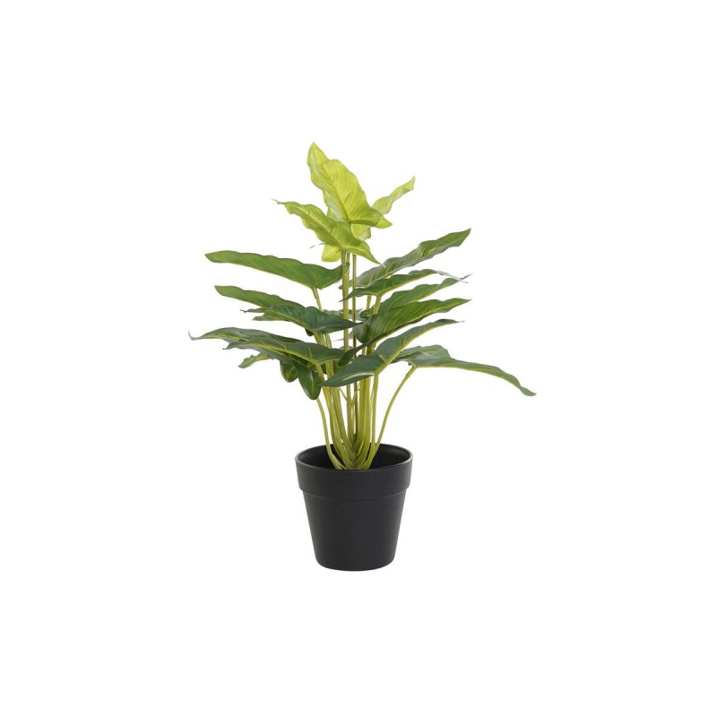 Plante décorative DKD Home Decor Noir Vert PVC PP Lis (25 x 25 x 30 cm) - Acheter à 11,52 € seulement chez Collector's Boutique