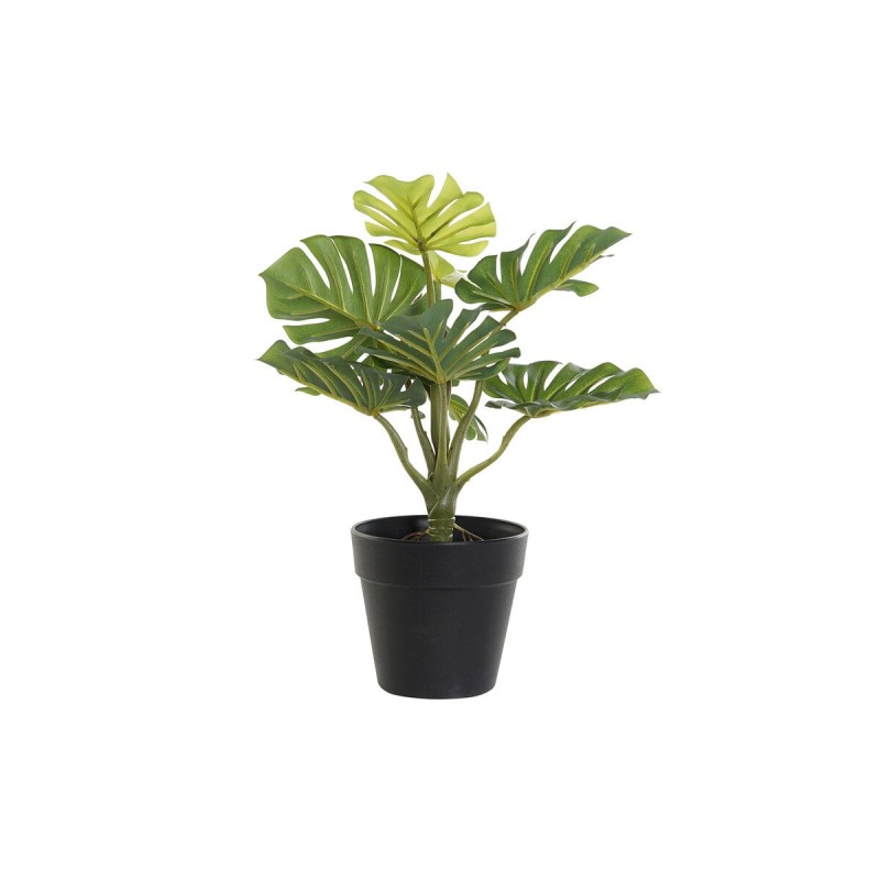 Plante décorative DKD Home Decor Noir Vert PVC PP (20 x 20 x 30 cm) - Acheter à 11,50 € seulement chez Collector's Boutique