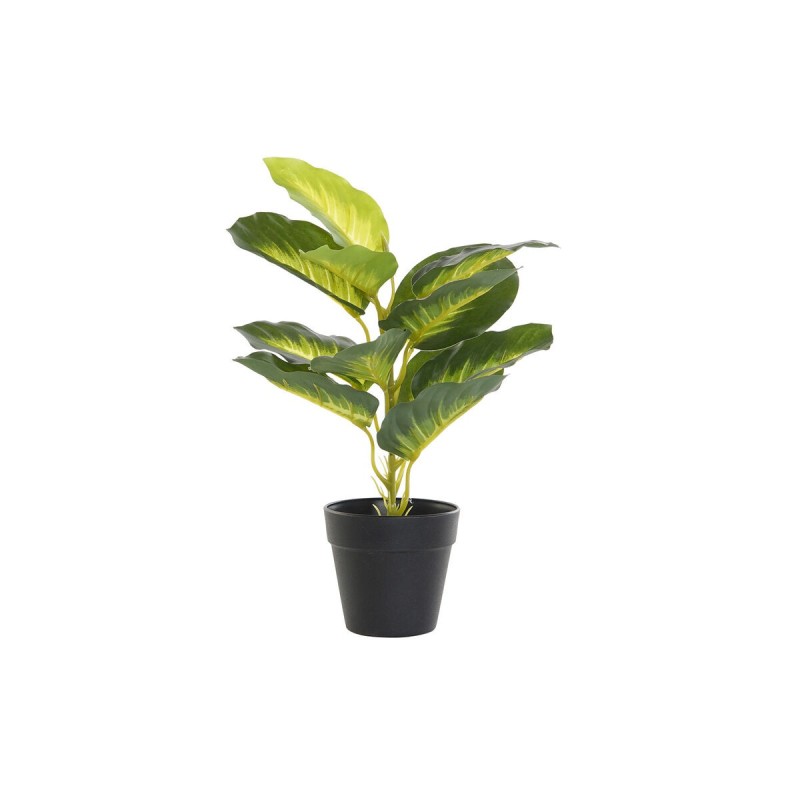 Plante décorative DKD Home Decor Noir Vert PVC PP (25 x 25 x 30 cm) - Acheter à 9,92 € seulement chez Collector's Boutique