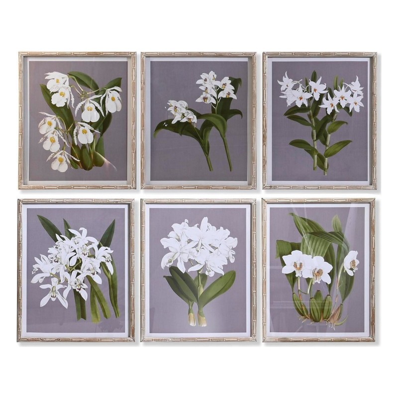 Cadre DKD Home Decor Sapin Verre Fleurs (50 x 60 x 2,8 cm) (6 Unités) - Acheter à 238,54 € seulement chez Collector's Boutique