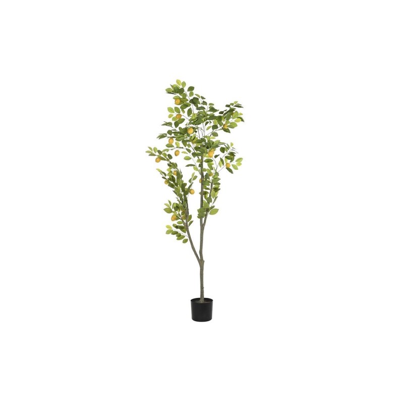 Arbre DKD Home Decor Citronnier Polyester polypropylène (90 x 90 x 180 cm) - Acheter à 103,38 € seulement chez Collector's Bouti