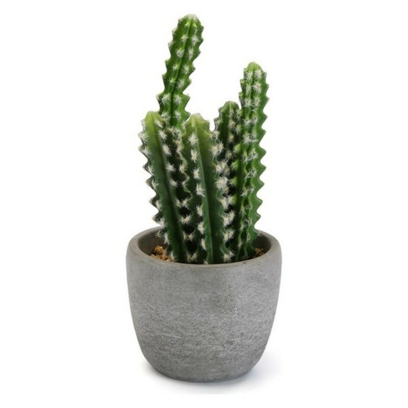 Plante décorative Versa Plastique (14 x 33 x 14 cm) - Acheter à 23,04 € seulement chez Collector's Boutique