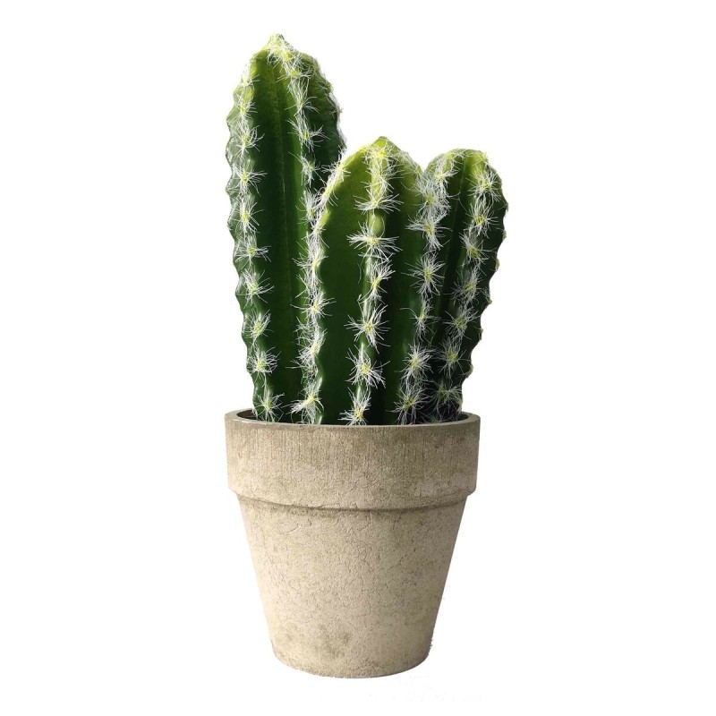 Plante décorative Versa Plastique (10,5 x 25,5 cm) - Acheter à 16,13 € seulement chez Collector's Boutique