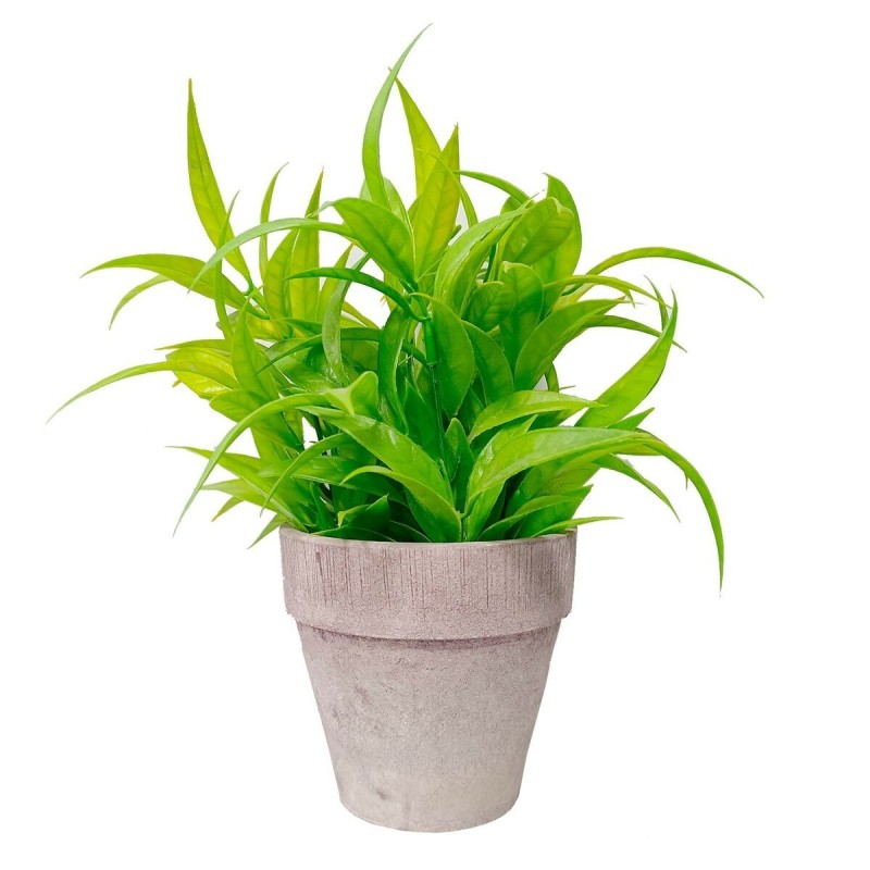 Plante décorative Versa Plastique Fer (10,5 x 23 x 10,5 cm) - Acheter à 9,17 € seulement chez Collector's Boutique