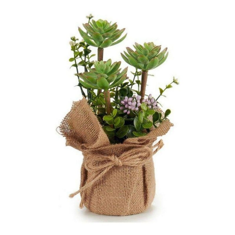 Plante décorative Plastique Fleurs (13 x 25 x 13 cm) - Acheter à 5,63 € seulement chez Collector's Boutique