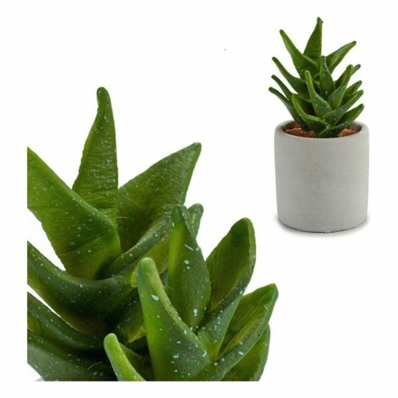 Cactus Plastique Cactus (7 x 14 x 7 cm) - Acheter à 3,44 € seulement chez Collector's Boutique