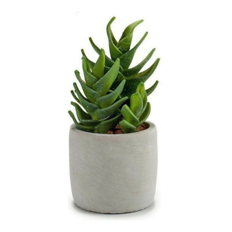 Cactus Plastique Cactus (10,5 x 21 x 10,5	cm) - Acheter à 6,77 € seulement chez Collector's Boutique