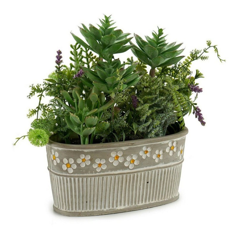 Plante décorative S3601499 Gris Vert (16 x 28 x 26 cm) - Acheter à 12,90 € seulement chez Collector's Boutique