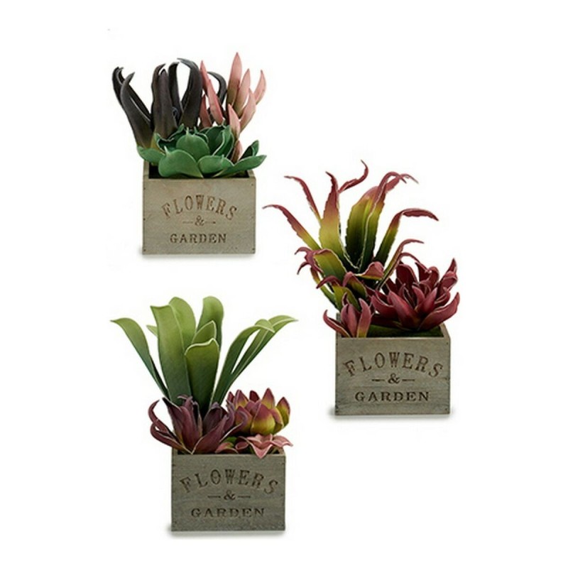 Plante décorative Plastique Bois Marron (15 x 28 x 15 cm) - Acheter à 7,44 € seulement chez Collector's Boutique