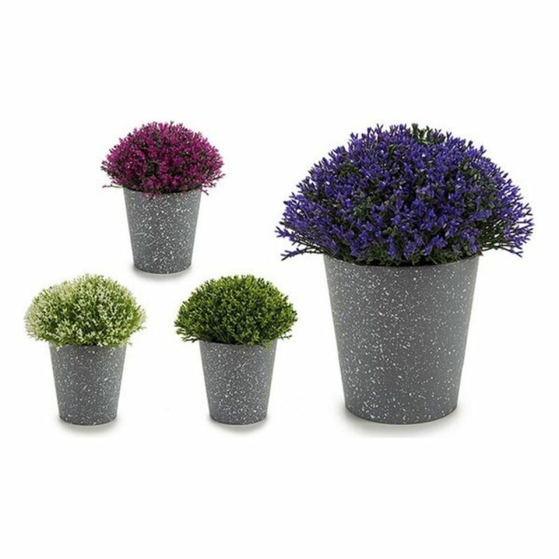 Plante décorative Plastique (14 x 15 x 14	 cm) - Acheter à 2,83 € seulement chez Collector's Boutique