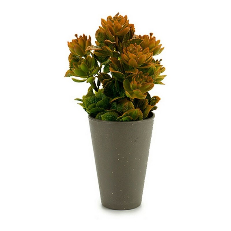 Plante décorative Gris Plastique (10 x 22 x 10 cm) - Acheter à 2,71 € seulement chez Collector's Boutique