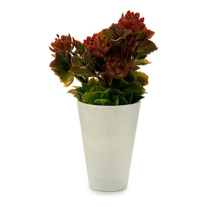 Plante décorative Blanc Plastique (10 x 22 x 10 cm) - Acheter à 2,71 € seulement chez Collector's Boutique