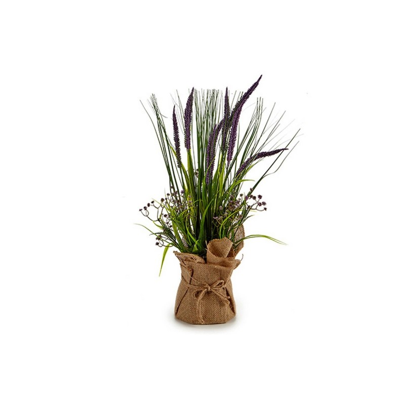 Plante décorative Joncs Liège Plastique Raphia (14 x 54 x 14 cm) - Acheter à 10,02 € seulement chez Collector's Boutique