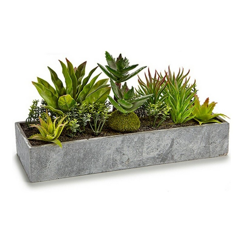 Plante décorative S3603890 Jardinière Ciment Plastique (15 x 16 x 30 cm) - Acheter à 11,48 € seulement chez Collector's Boutique