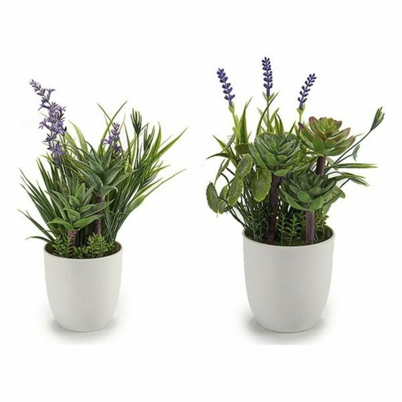 Plante décorative Violet Plastique (15 x 27 x 15 cm) - Acheter à 5,15 € seulement chez Collector's Boutique