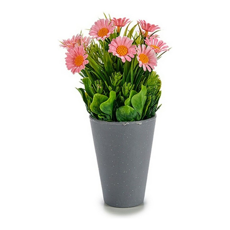 Plante décorative 8430852552938 Marguerite Ciment Plastique (10 x 22 x 10 cm) - Acheter à 2,71 € seulement chez Collector's Bout