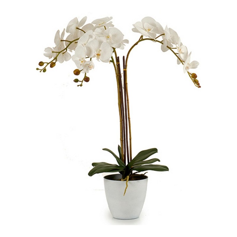 Plante décorative Plastique (44 x 88 x 60	 cm) - Acheter à 29,26 € seulement chez Collector's Boutique