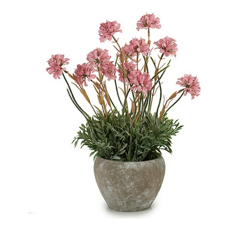 Plante décorative Ciment Plastique Pot (20 x 39 x 20 cm) - Acheter à 11,14 € seulement chez Collector's Boutique