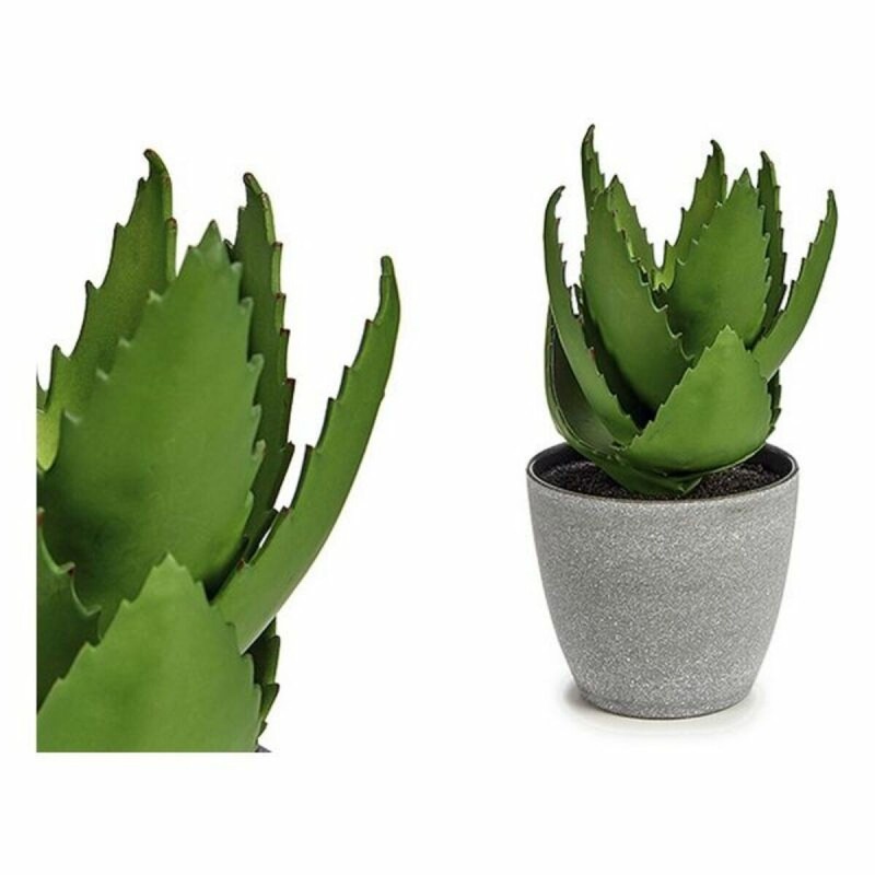 Plante décorative Aloe Vera Plastique (14 x 23 x 14 cm) - Acheter à 7,44 € seulement chez Collector's Boutique