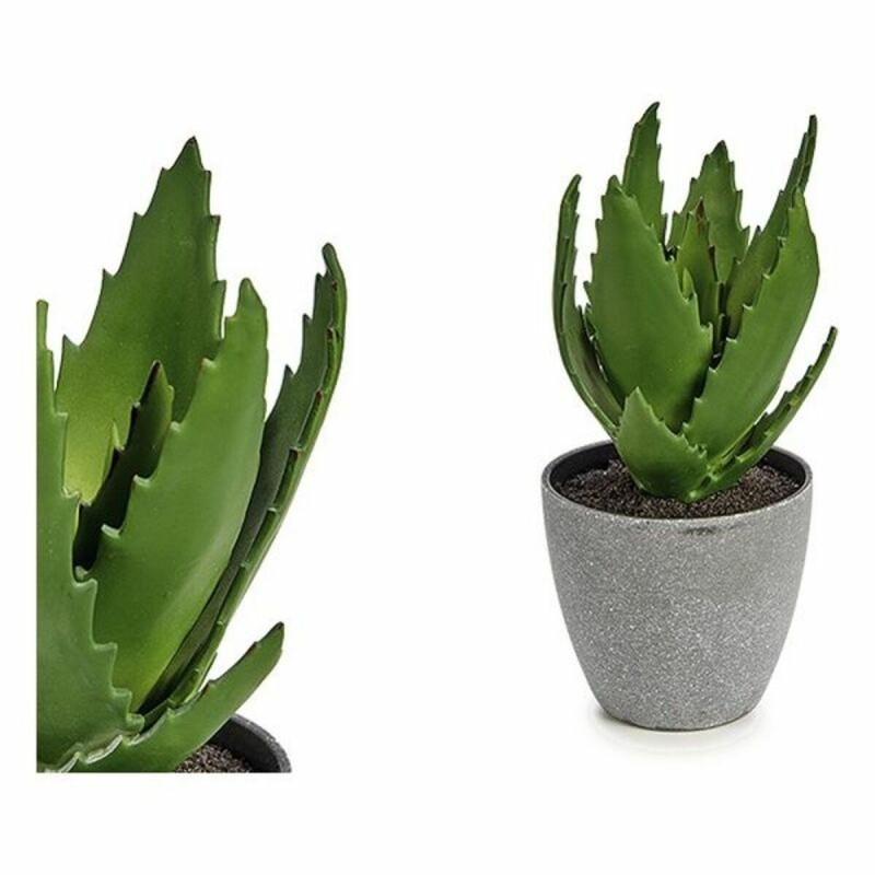 Plante décorative Aloe Vera Plastique (14 x 20 x 14 cm) - Acheter à 5,15 € seulement chez Collector's Boutique