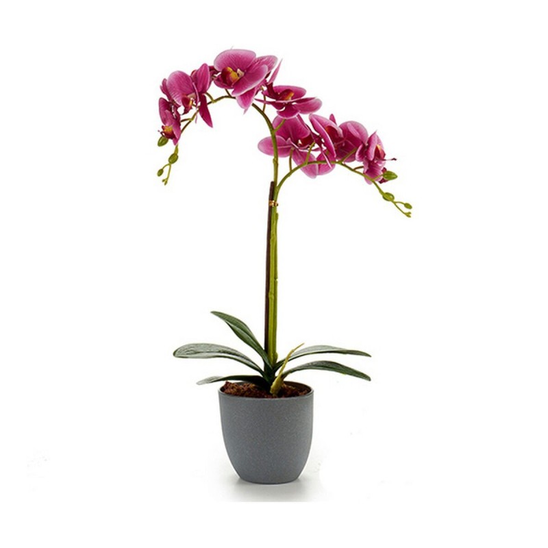 Fleur décorative Plastique Orchidée - Acheter à 6,76 € seulement chez Collector's Boutique