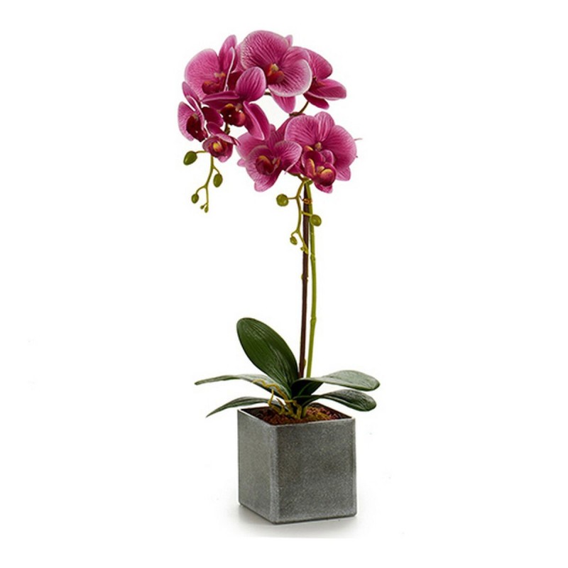 Fleur décorative Plastique Orchidée - Acheter à 9,13 € seulement chez Collector's Boutique