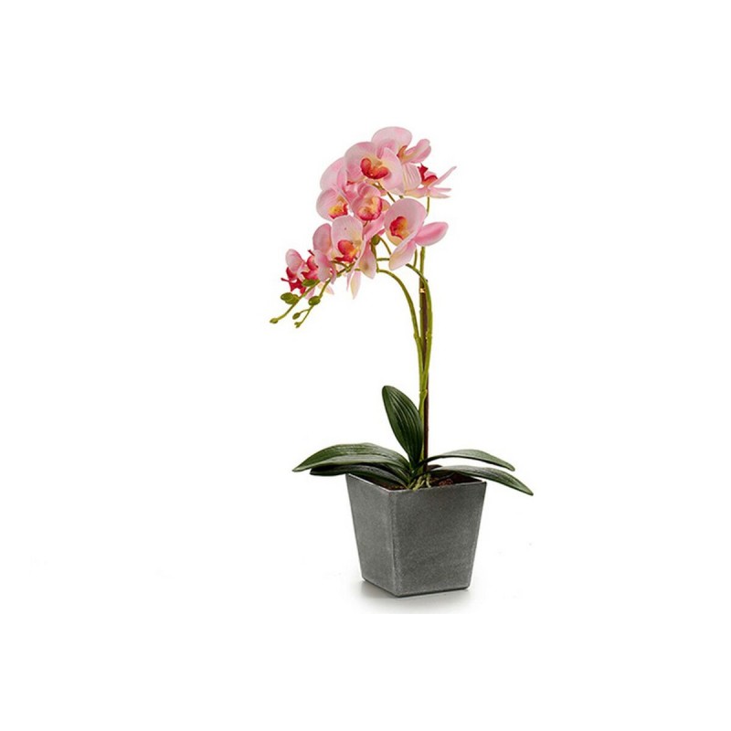 Fleurs décoratives Orchidée Plastique Pot Gris (18 x 53 x 28 cm) - Acheter à 10,02 € seulement chez Collector's Boutique