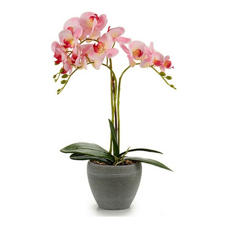 Fleurs décoratives 8430852552570 Plastique Pot (25 x 50 x 36 cm) - Acheter à 14,33 € seulement chez Collector's Boutique