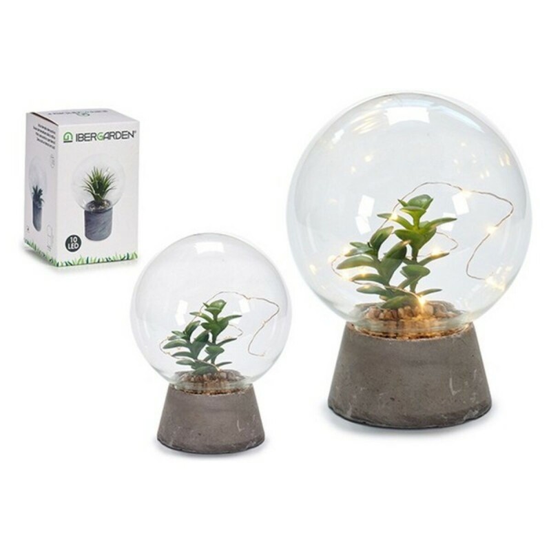 Ballon Verre Pierre Plants - Acheter à 12,16 € seulement chez Collector's Boutique