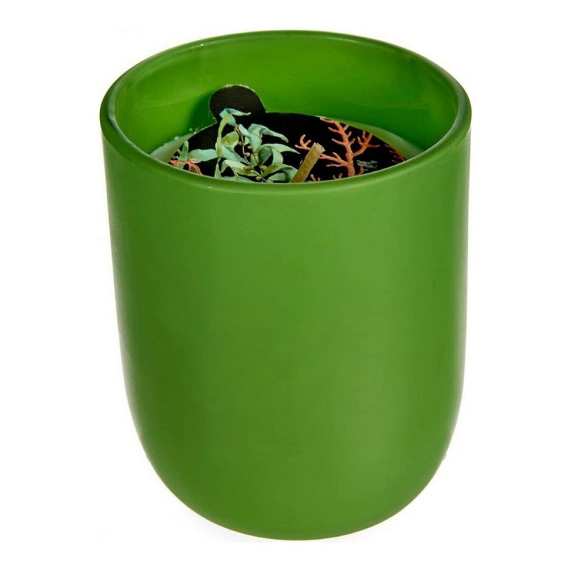 Bougie Verre Vert (7 x 8 x 7 cm) - Acheter à 1,84 € seulement chez Collector's Boutique