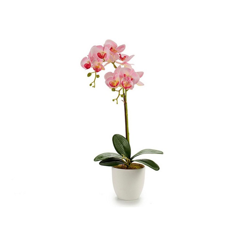 Pot Orchid Blanche Plastique (51 cm) - Acheter à 6,49 € seulement chez Collector's Boutique