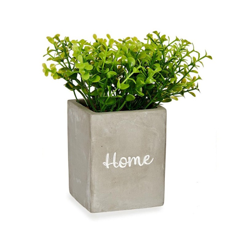 Plante décorative Gris Ciment Plastique (8 x 20 x 8 cm) - Acheter à 5,44 € seulement chez Collector's Boutique