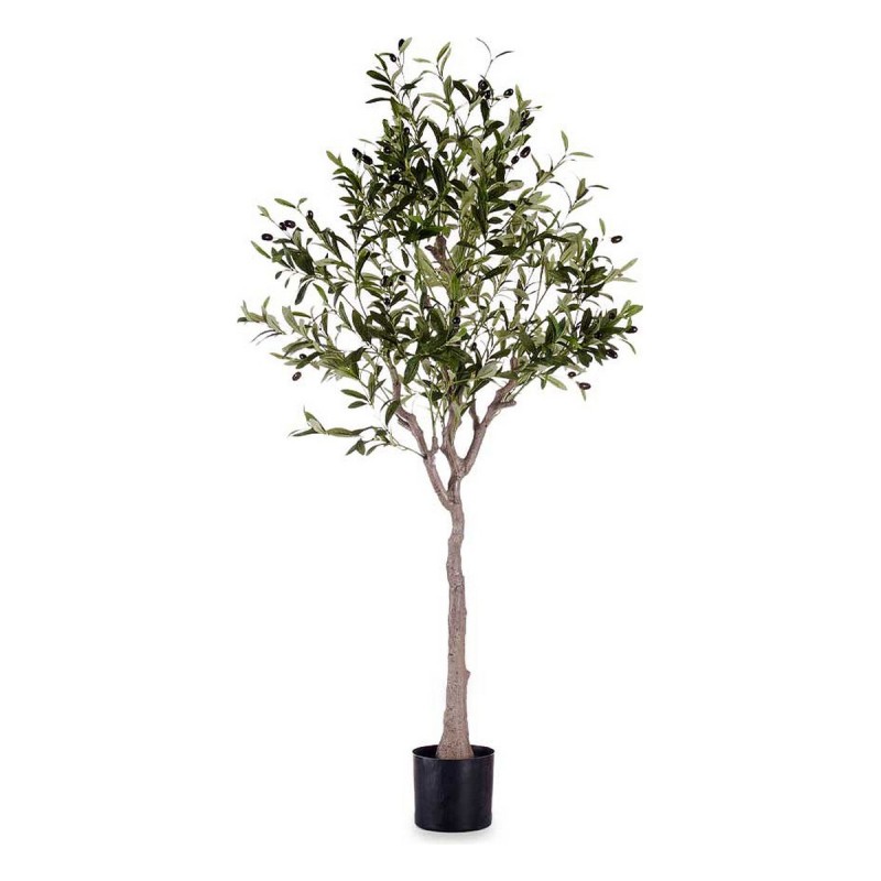 Plante décorative 73 x 120 x 73 cm Olivier Vert Plastique - Acheter à 61,31 € seulement chez Collector's Boutique